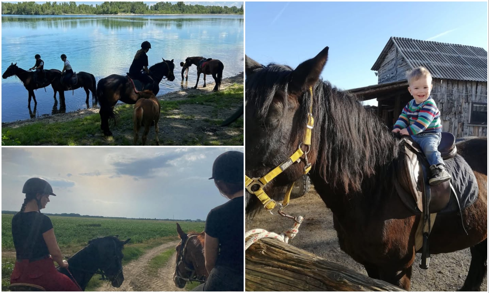 Konjički klub Međimurje (4) Konjički klub Međimurje (4)