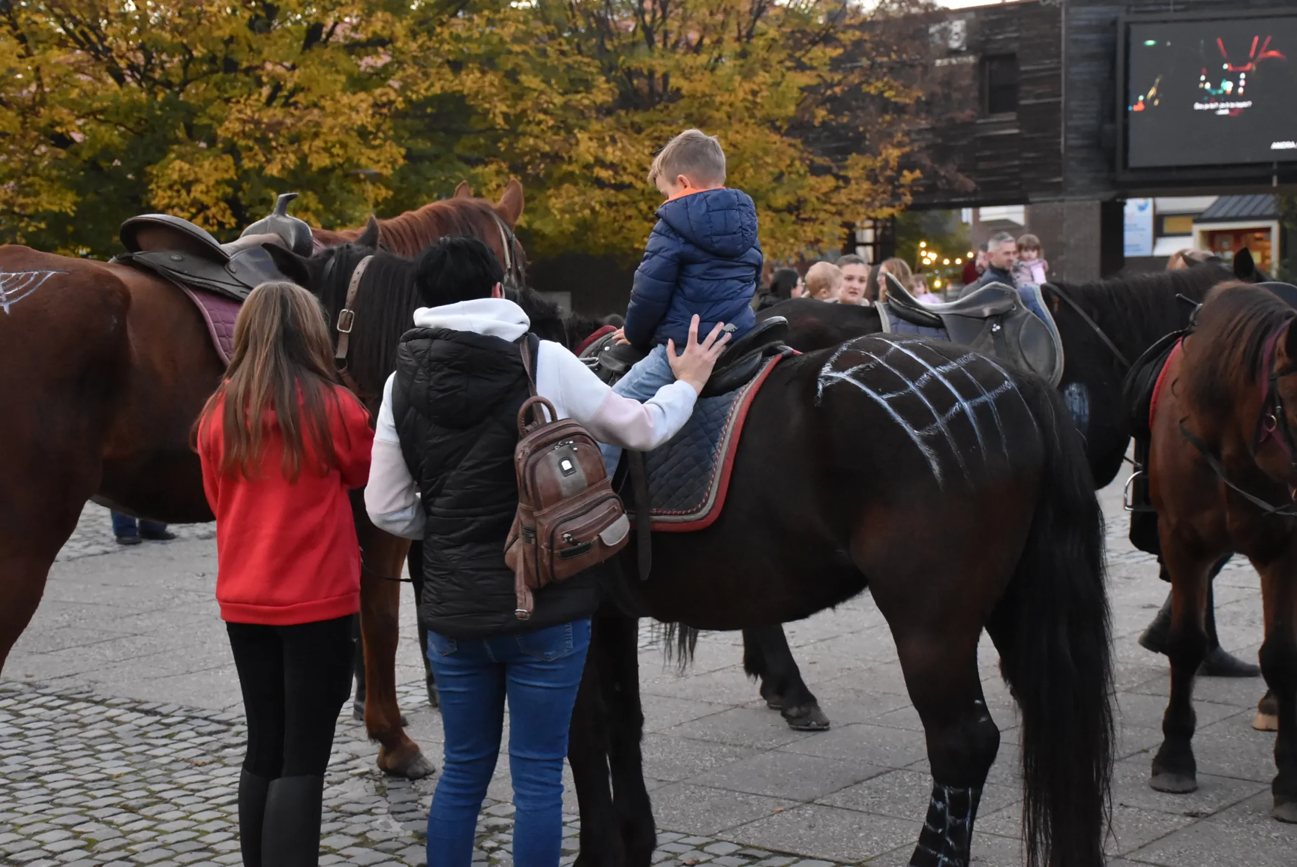Konjički klub Međimurje razveselio je mališane za Halloween u Čakovcu (37)