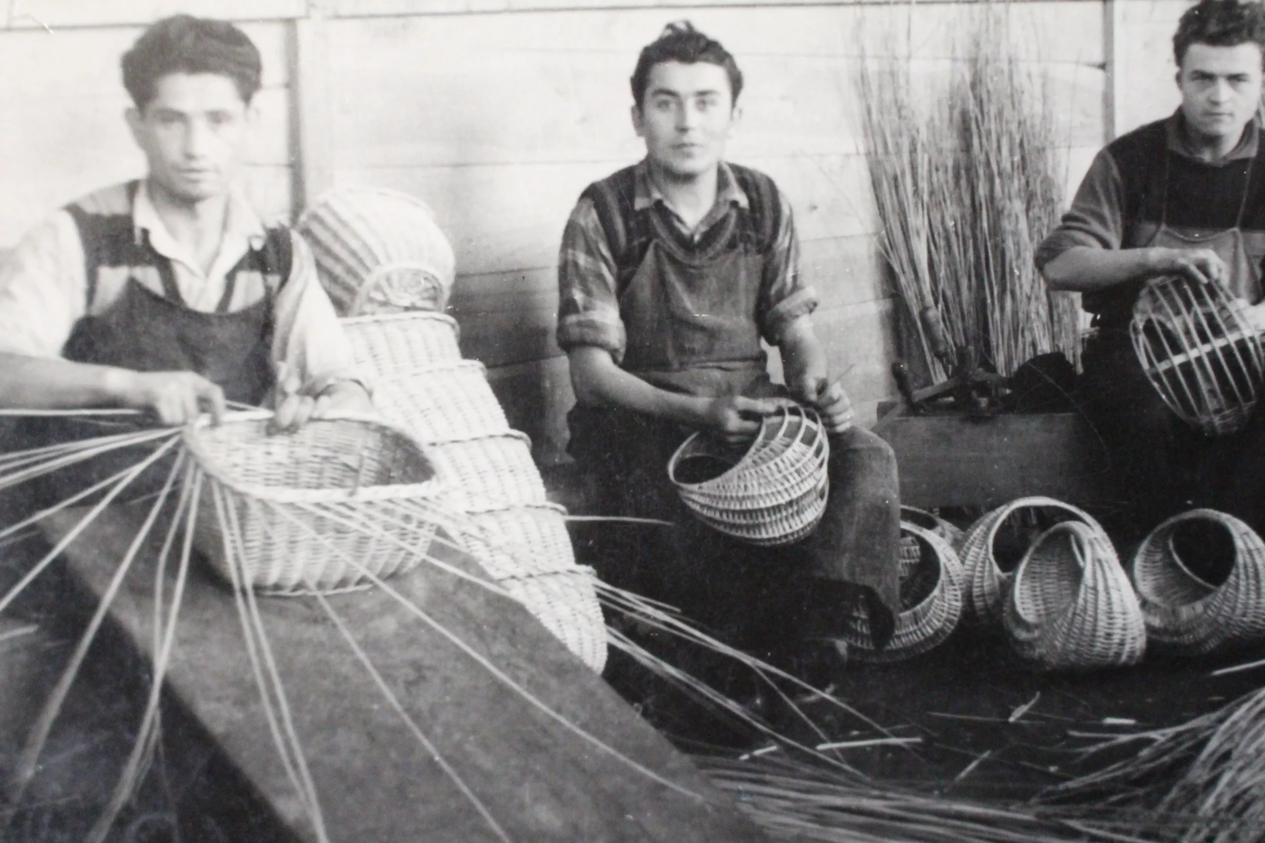 Košaraštvo u Kotoribi (3) Košaraštvo u Kotoribi (3)