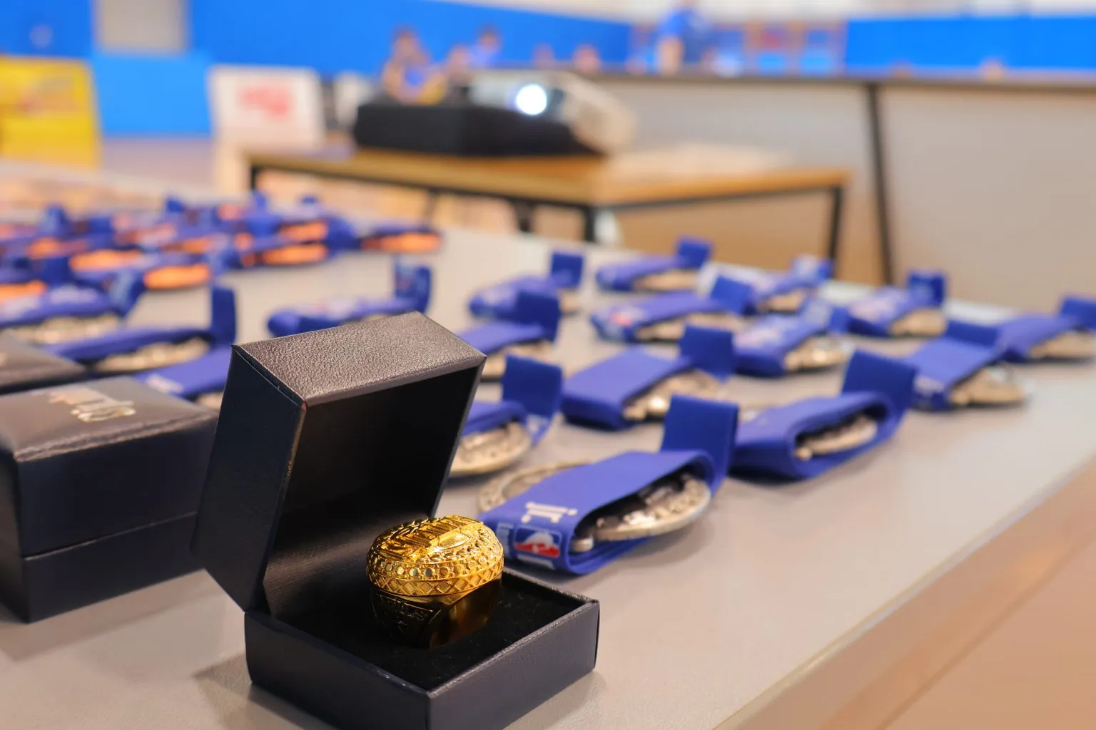 Košarka u Ivanovcu (18) Košarka u Ivanovcu (18)