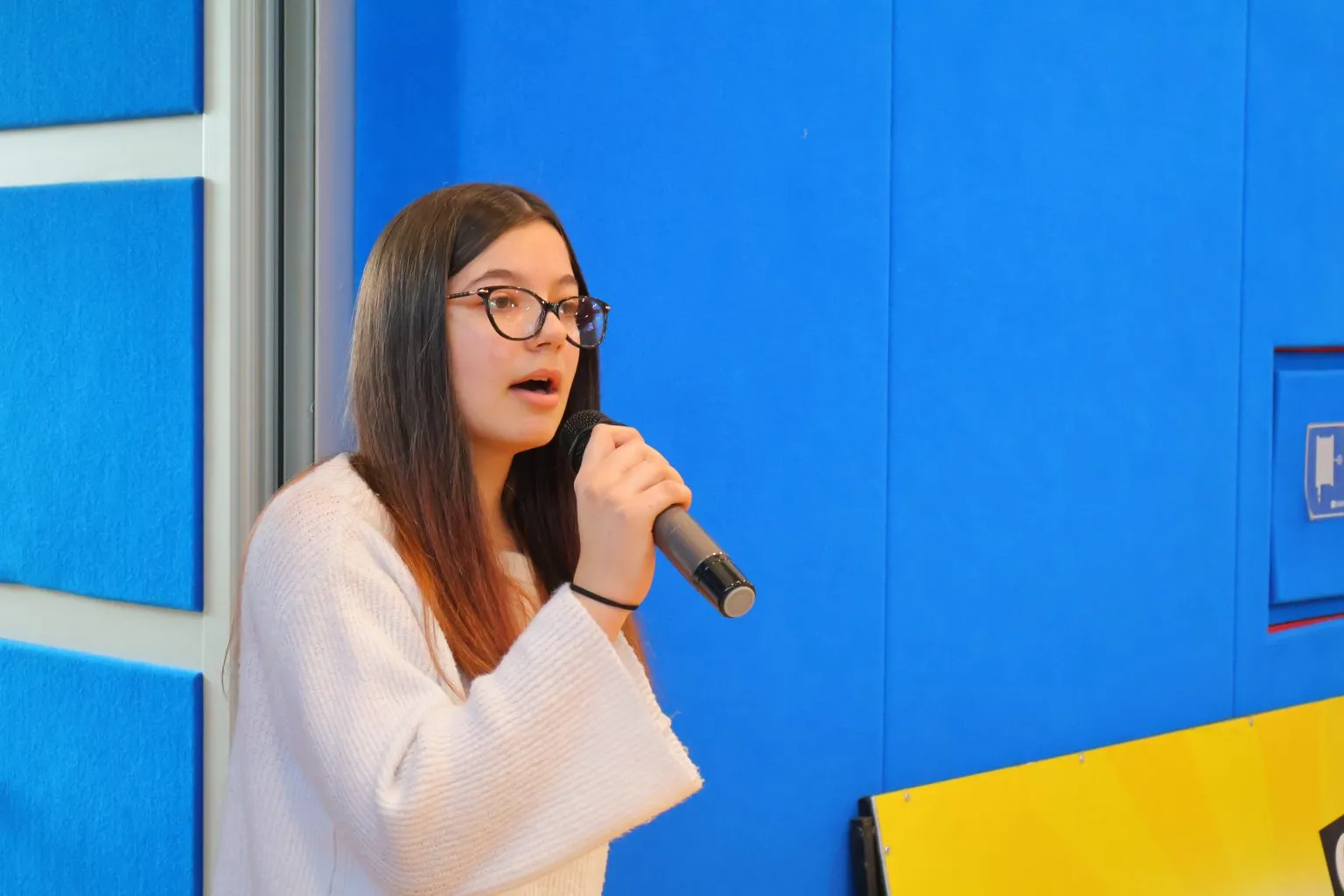 Košarka u Ivanovcu (26) Košarka u Ivanovcu (26)