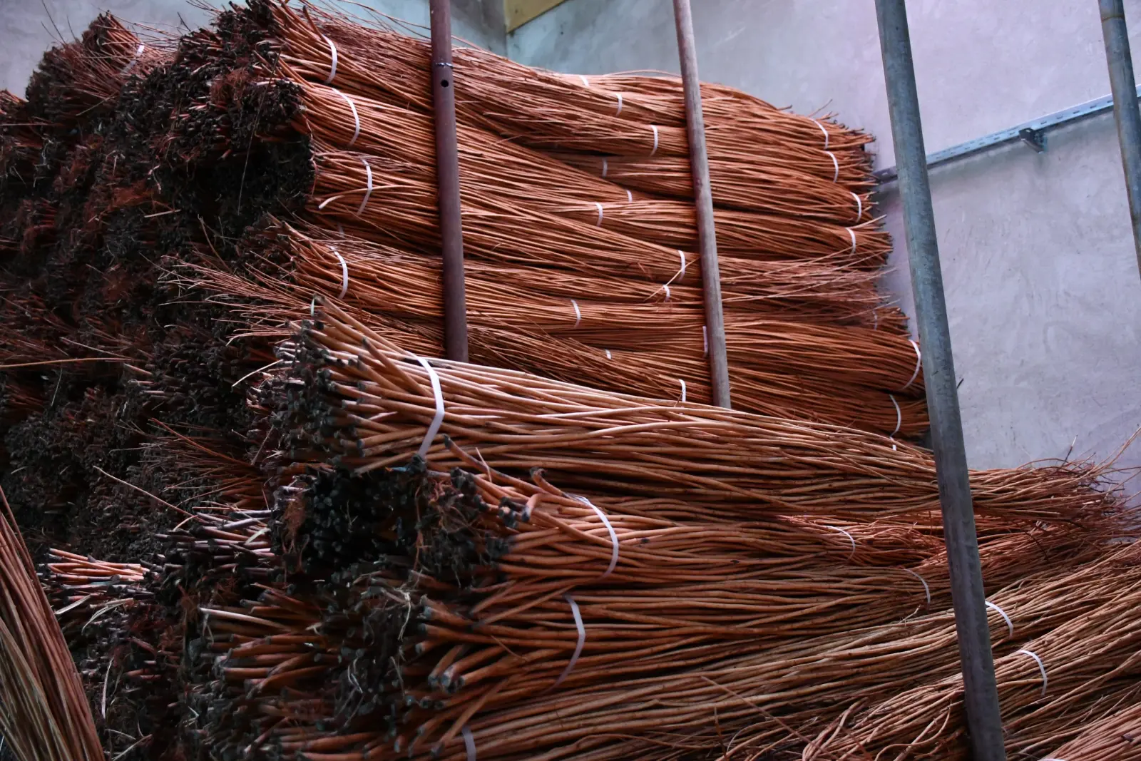 Kotoriba košaraštvo Boris Pogorelec Mijo Mozeš (6) Kotoriba košaraštvo Boris Pogorelec Mijo Mozeš (6)