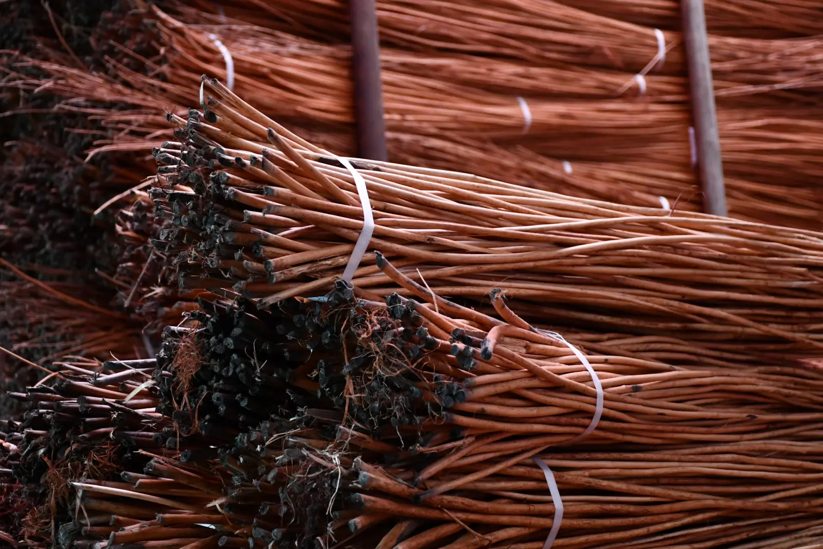 Kotoriba košaraštvo Boris Pogorelec Mijo Mozeš (7)