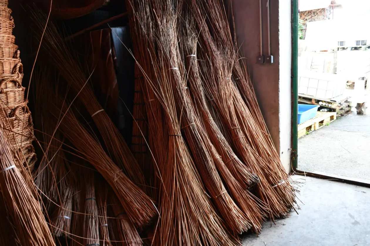 Kotoriba košaraštvo Boris Pogorelec Mijo Mozeš (9)