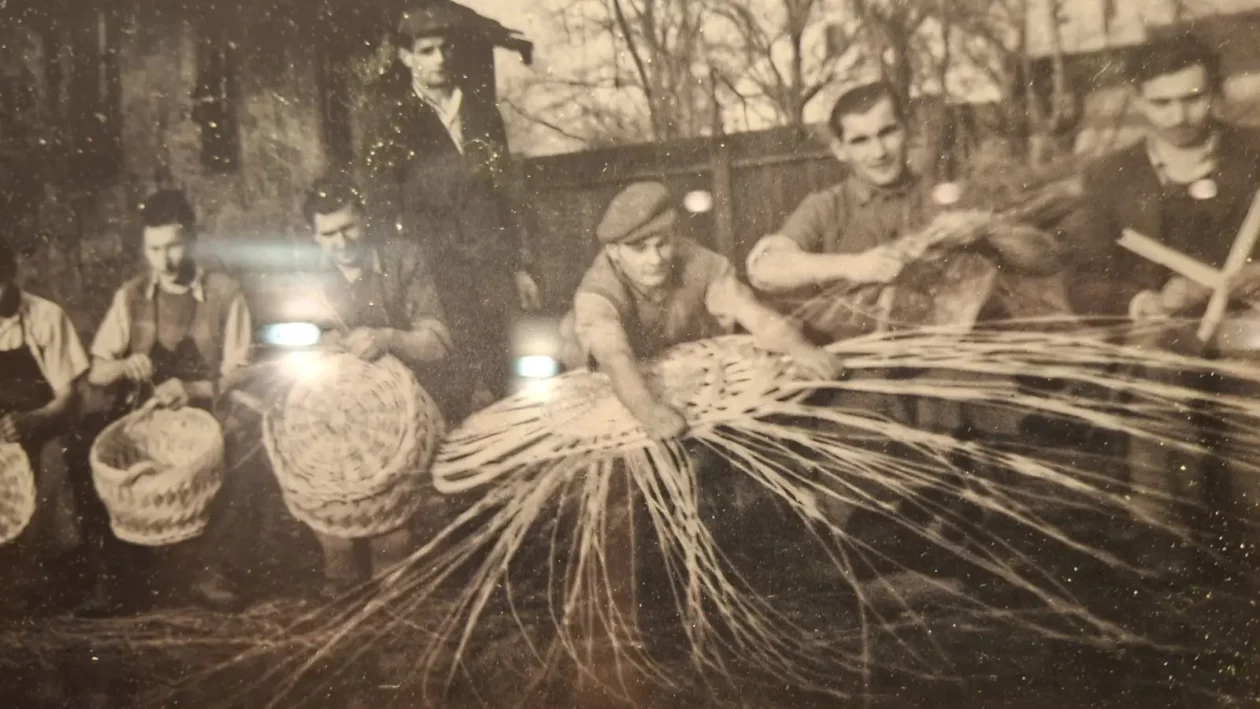 Kotoriba, pletenje, svečanost, vrbova šiba, košaraštvo (21)