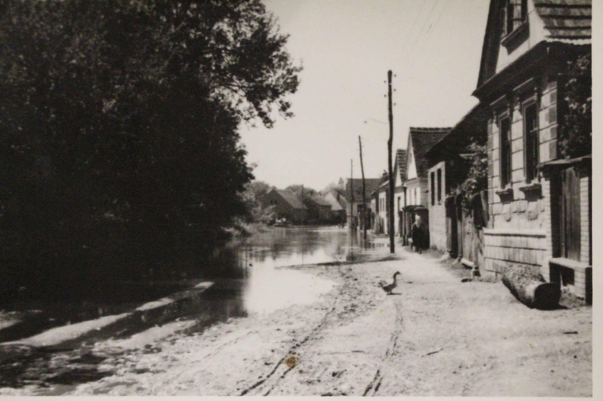 Kotoriba, poplava (5) Kotoriba, poplava (5)