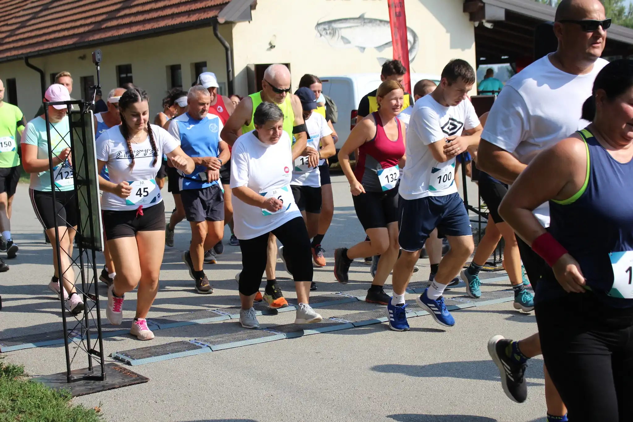 Kotoripska petnajstica (25)