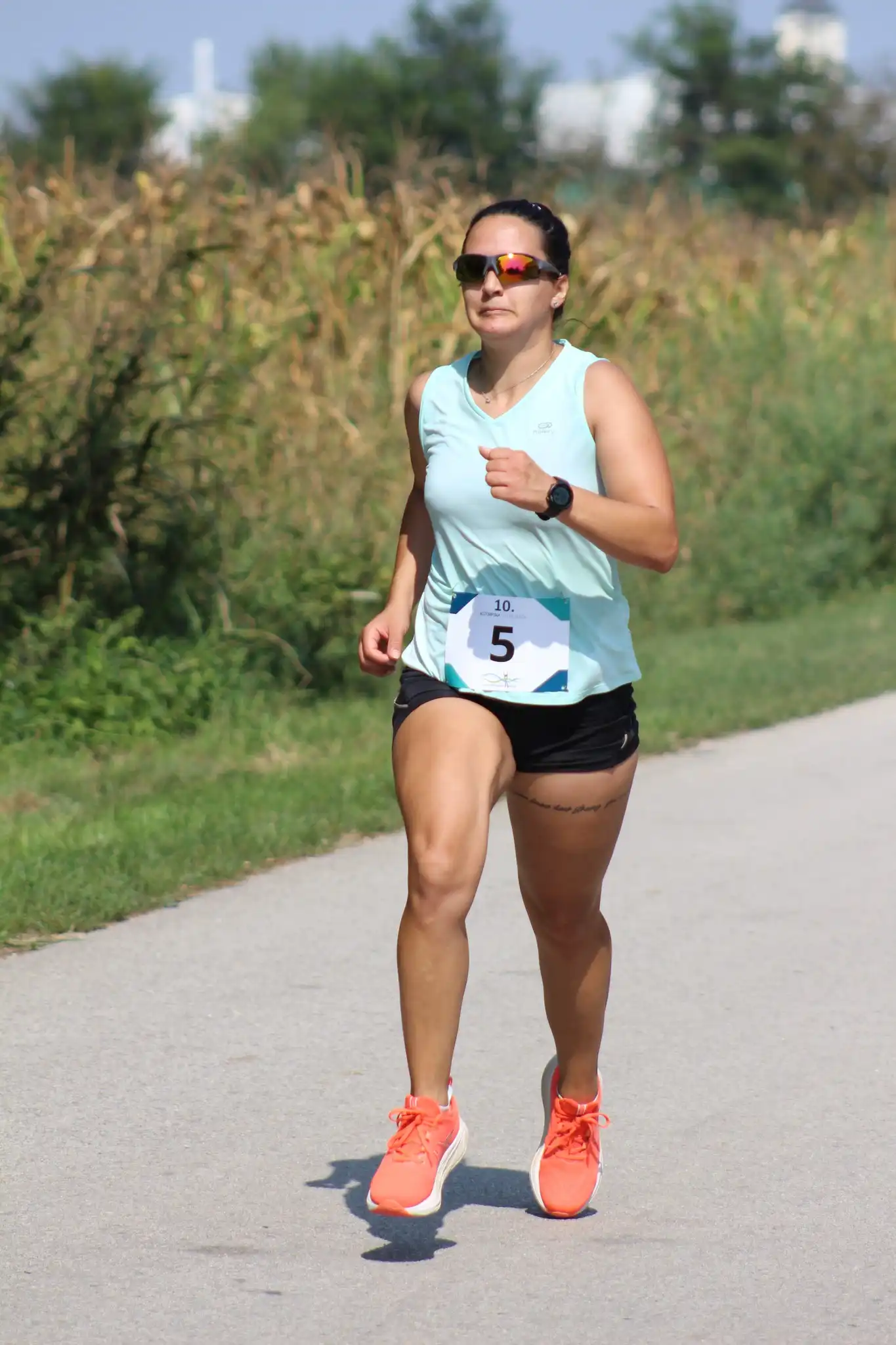 Kotoripska petnajstica (4)