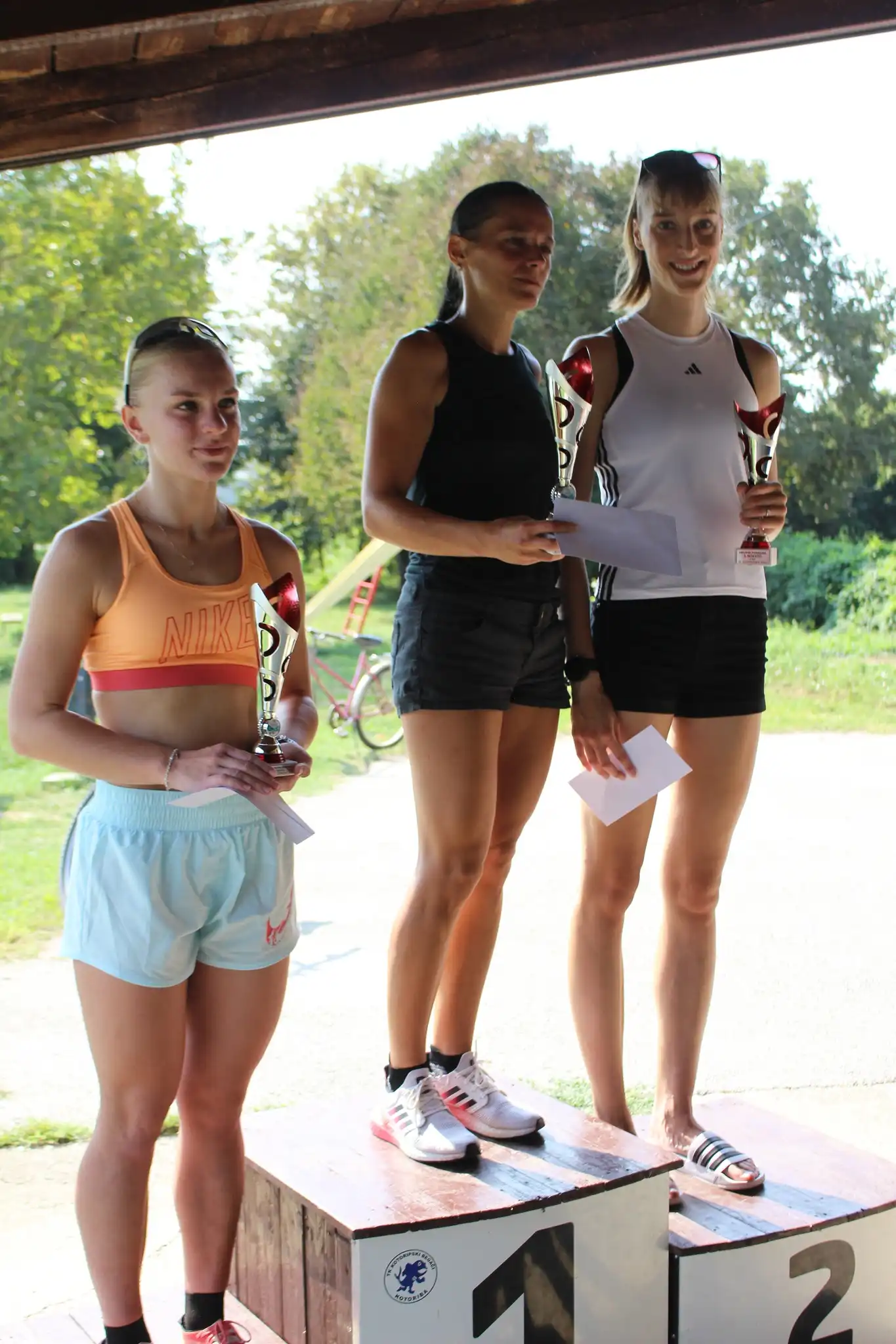 Kotoripska petnajstica (50)