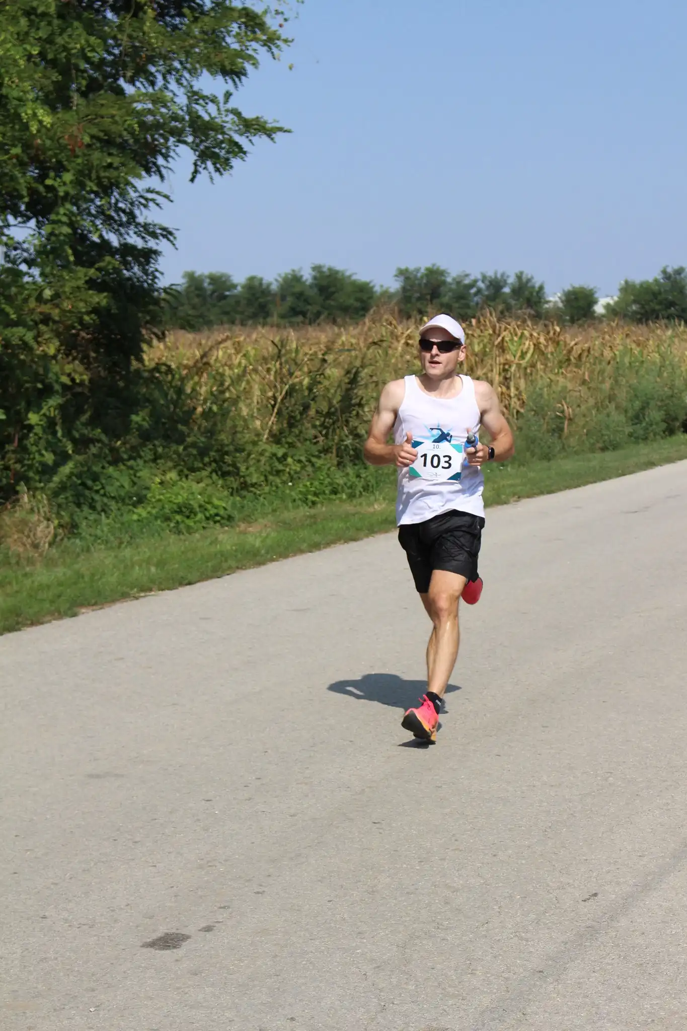 Kotoripska petnajstica (61)