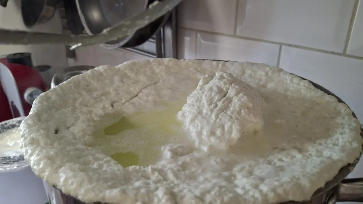 Koze i mi, Čičko, Donji Kraljevec, kozji sir (12) Koze i mi, Čičko, Donji Kraljevec, kozji sir (12)