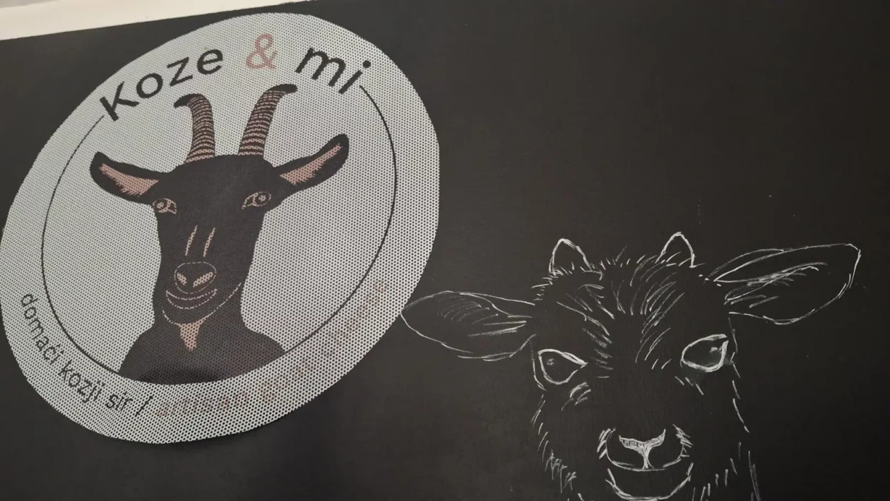 Koze i mi, Čičko, Donji Kraljevec, kozji sir (3) Koze i mi, Čičko, Donji Kraljevec, kozji sir (3)