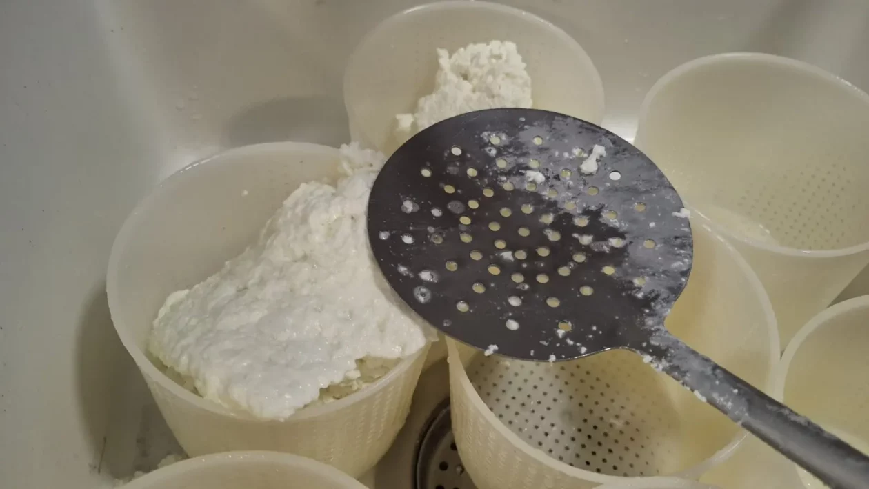 Koze i mi, Čičko, Donji Kraljevec, kozji sir (4) Koze i mi, Čičko, Donji Kraljevec, kozji sir (4)