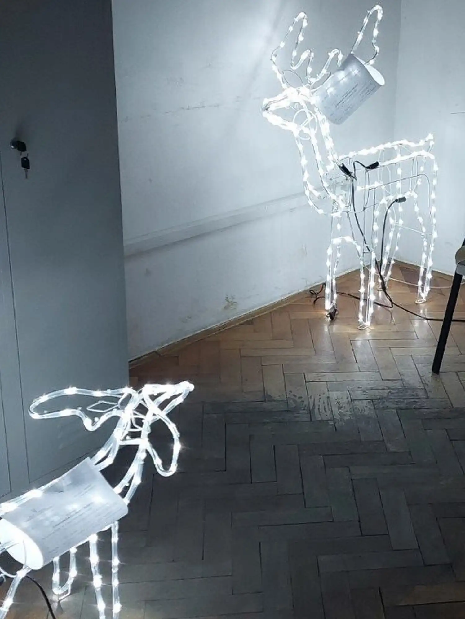 Krađa ukrasa Nedelišće 2024 (1) Krađa ukrasa Nedelišće 2024 (1)