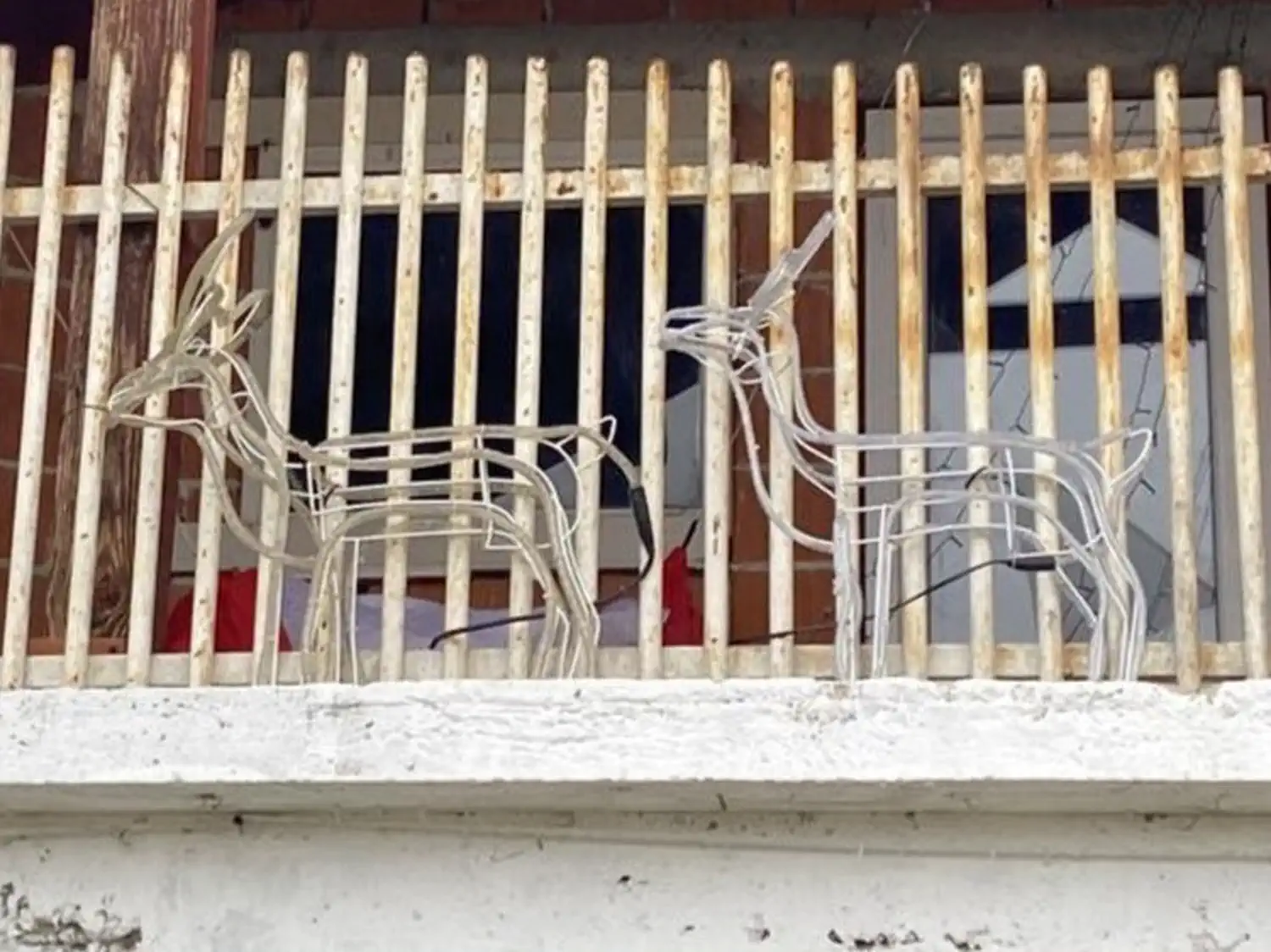 Krađa ukrasa Nedelišće 2024 (3) Krađa ukrasa Nedelišće 2024 (3)