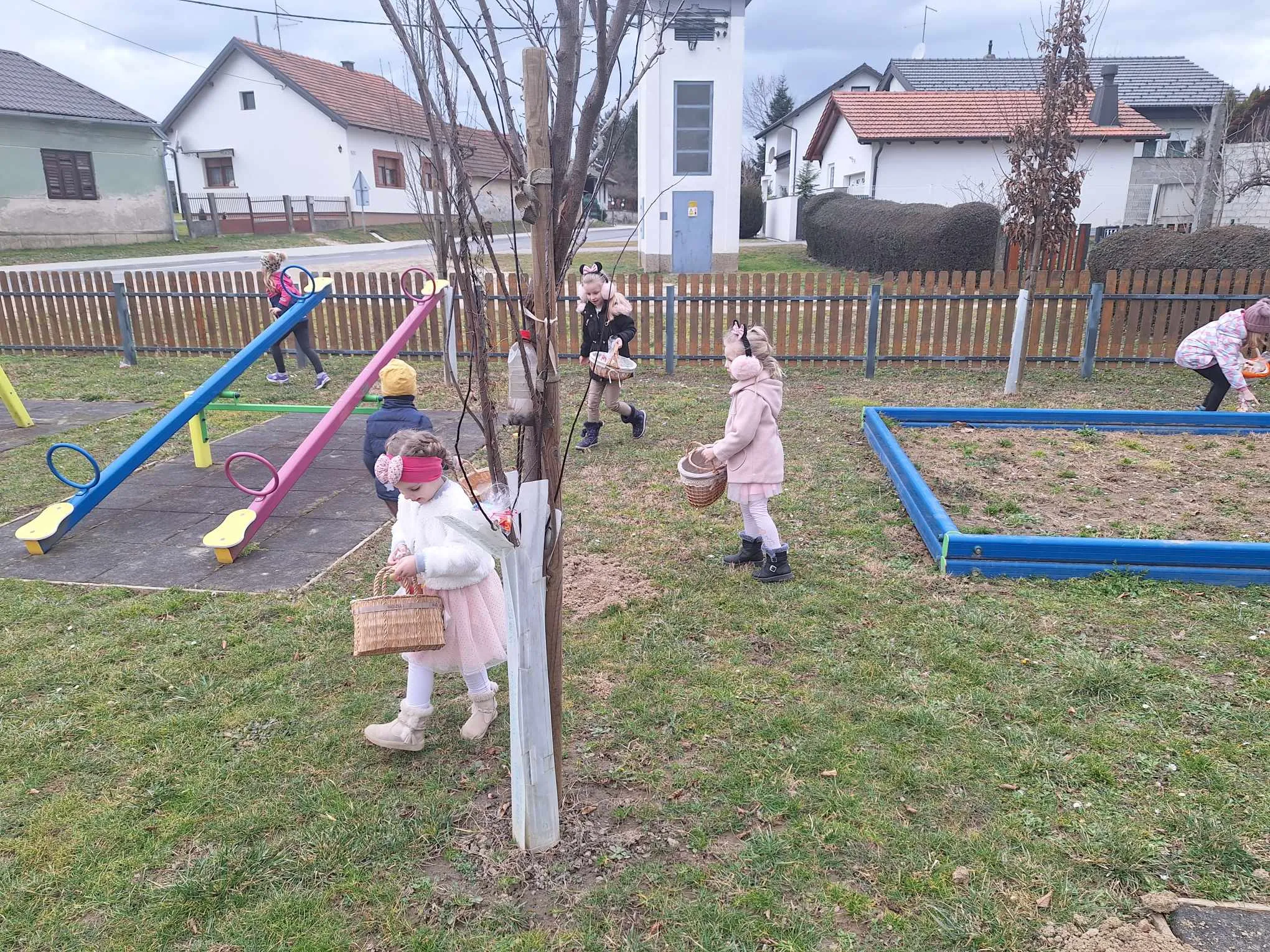 Krištanovec – ftičeki se ženiju (5)