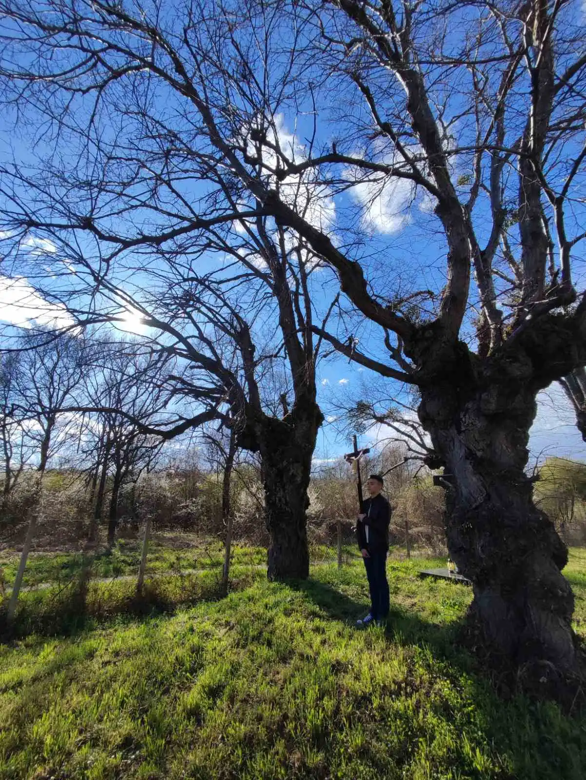 Križni put Pribislavec 2024 (1)