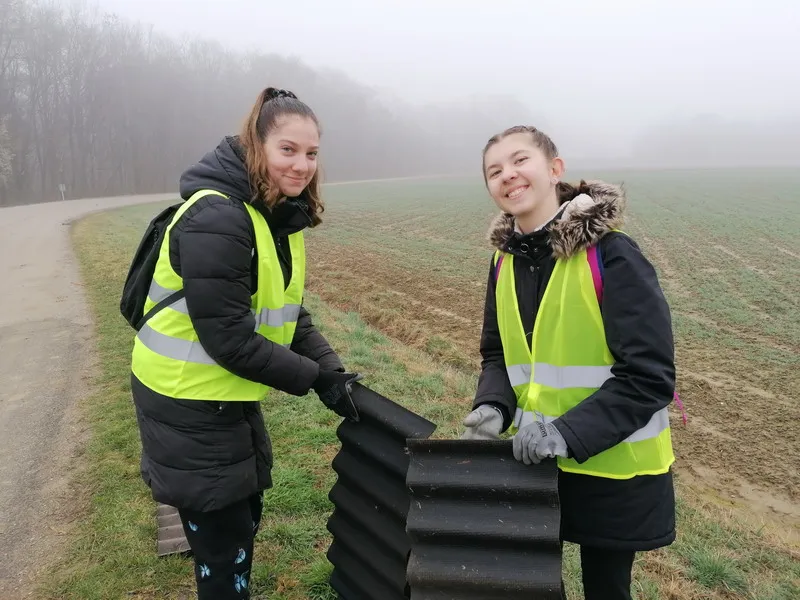 Krizopotje – Zabe na cesti (15) Krizopotje – Zabe na cesti (15)