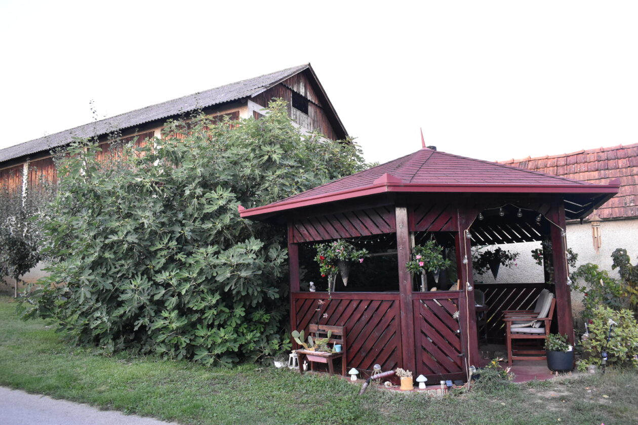 Krnjak, Belica, Smokva (6) Krnjak, Belica, Smokva (6)