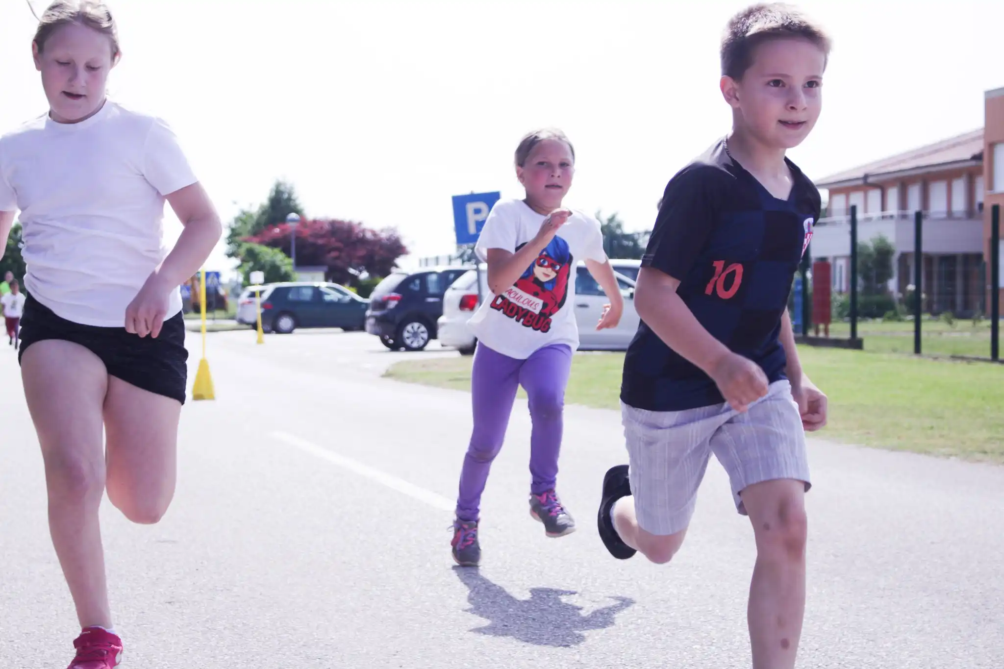 Krug po Revici (9) Krug po Revici (9)