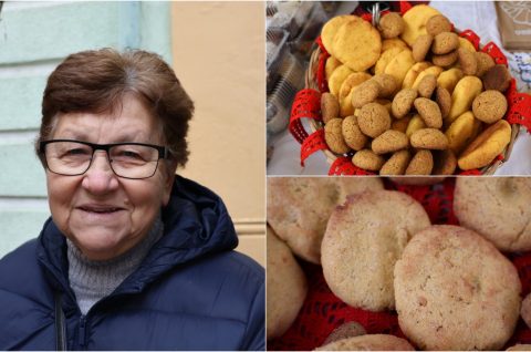 Kuržnjača naslovna emilija baranašić