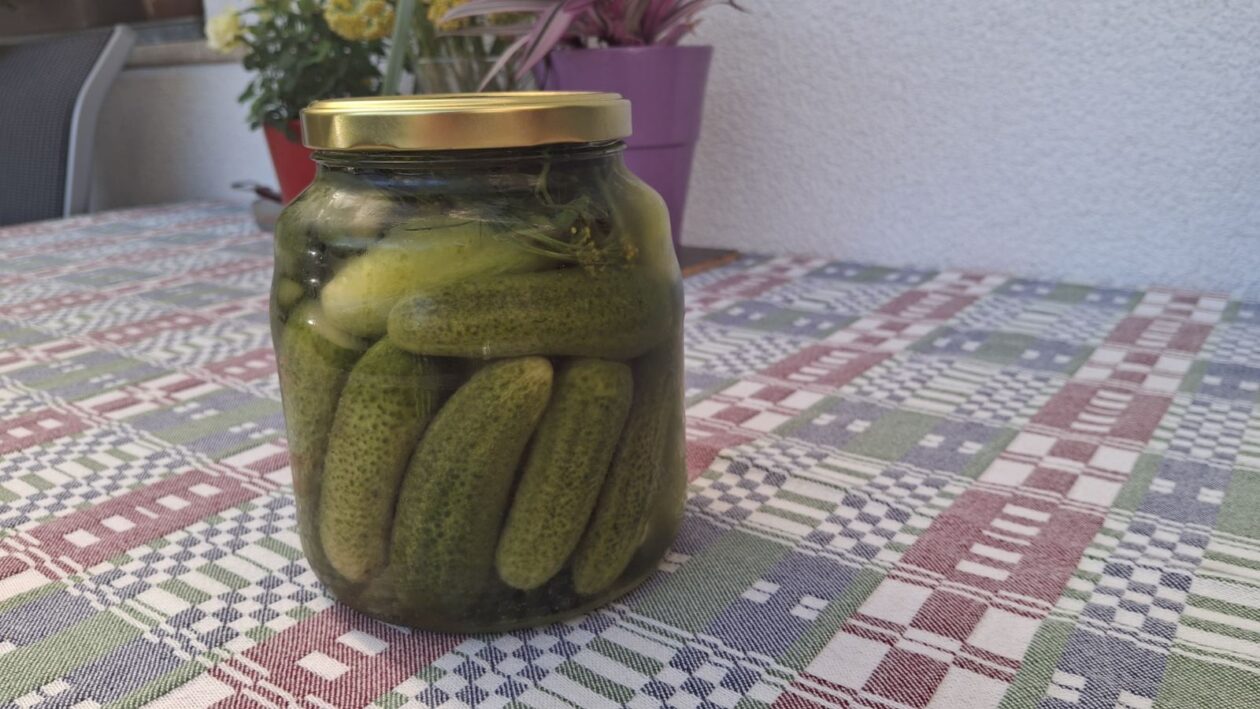 Kvašeni vugorki 3