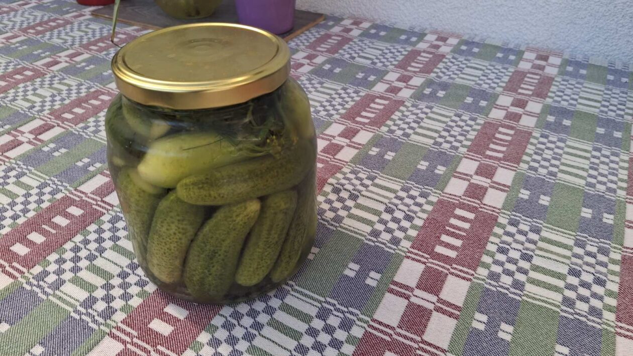 Kvašeni vugorki 4