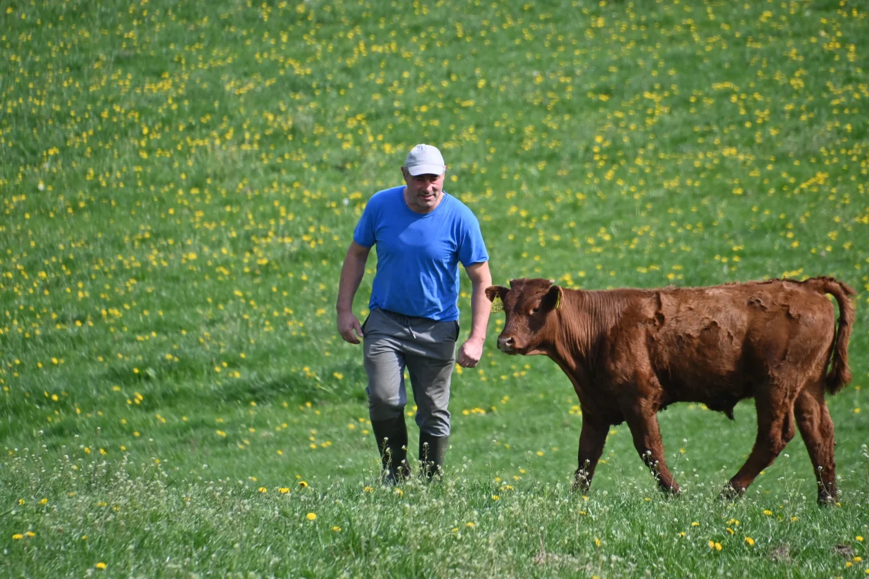 LESKOVEC Grubići (15)
