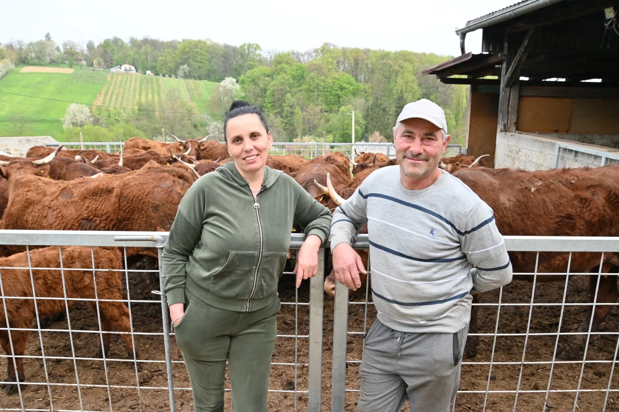 LESKOVEC Grubići (2)