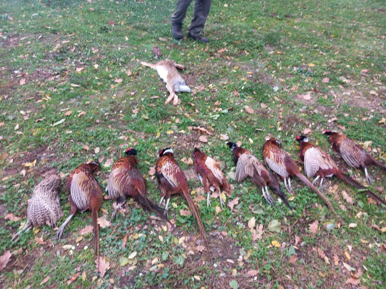 LOVAČKO KRŠTENJE Damir Kovačić ZASADBREG (1)