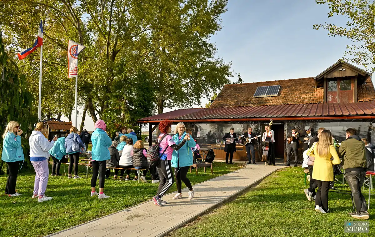 Labud Kestnijada (2) Labud Kestnijada (2)