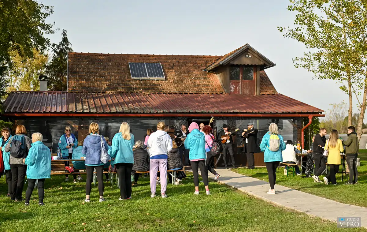 Labud Kestnijada (6) Labud Kestnijada (6)