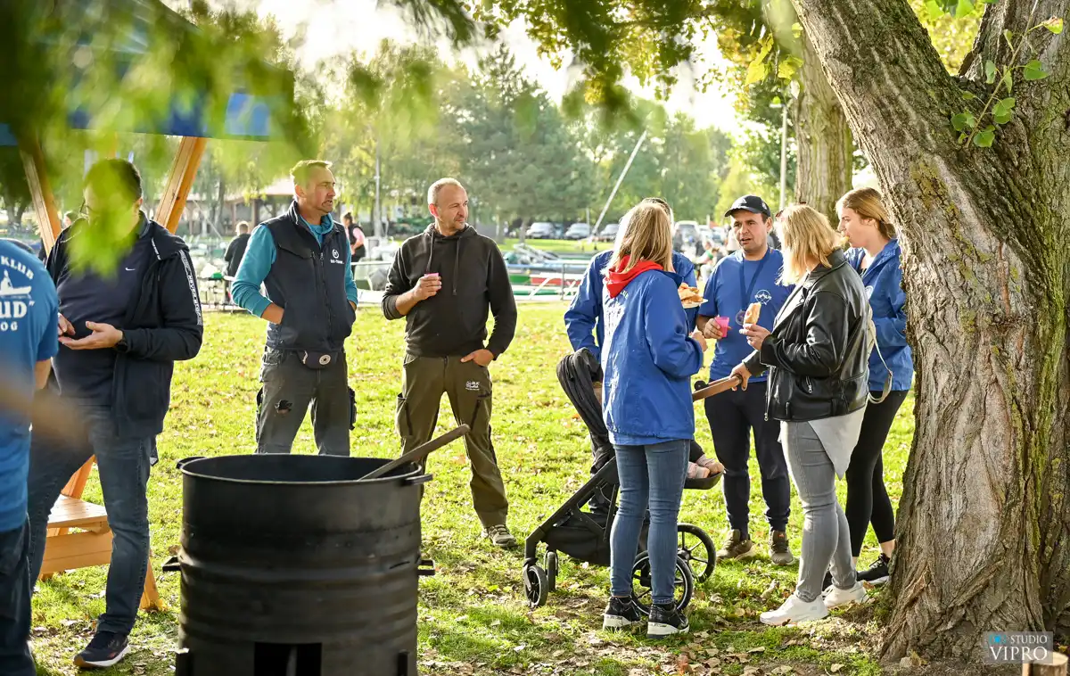 Labud Kestnijada (8) Labud Kestnijada (8)