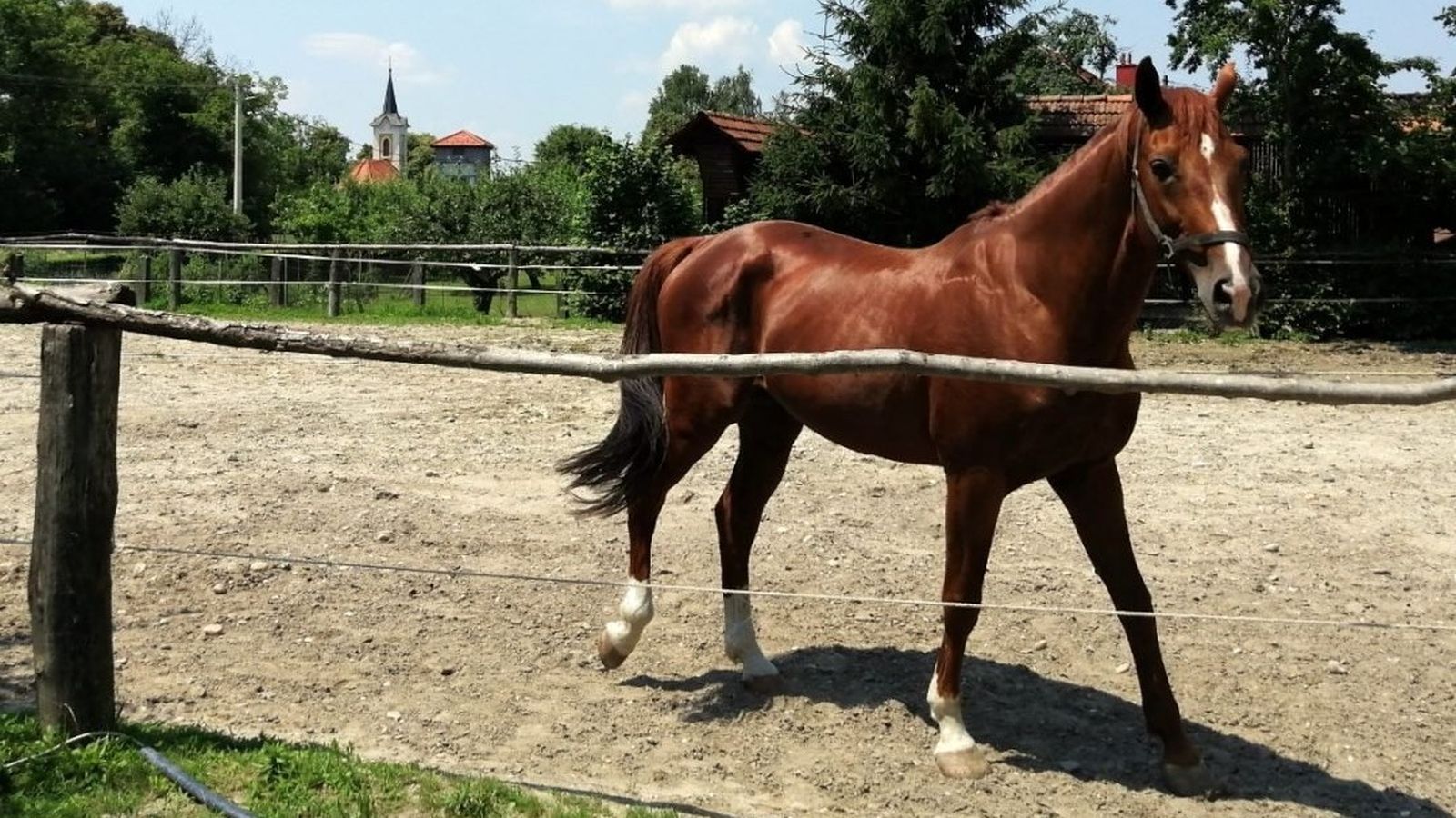 Lag međimurski bregi i doli (6)