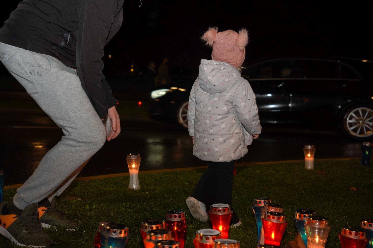 Lampioni Vukovar Dan sjećanja Kolona sjećanja vijenac polaganje vijenaca (21)