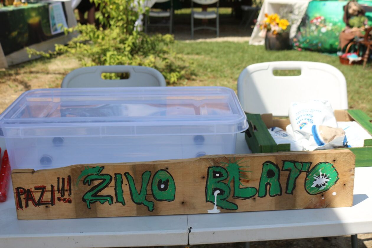 Legendra Prelog 2025 (3) Legendra Prelog 2025 (3)