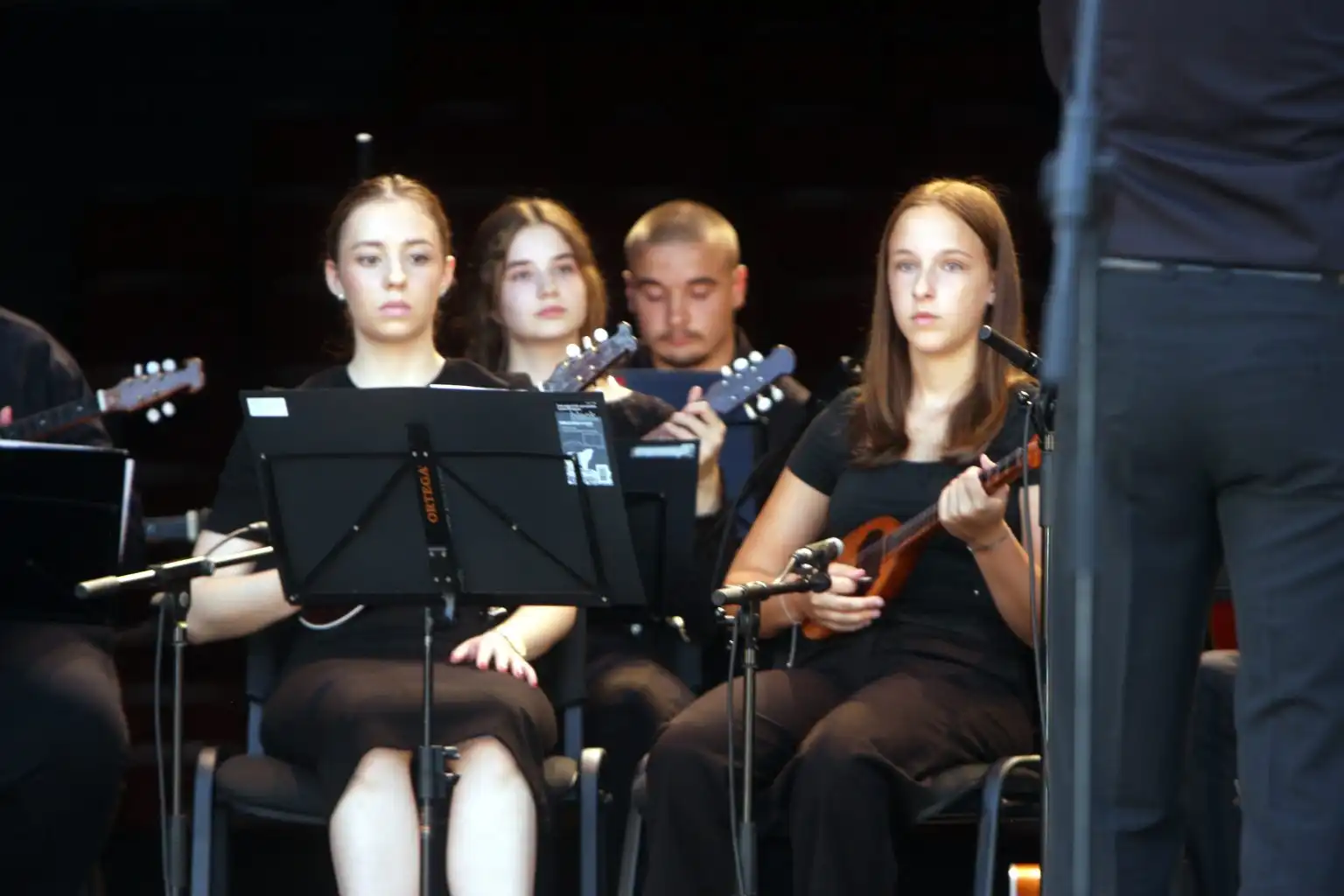 Lendava – koncert (25) Lendava – koncert (25)