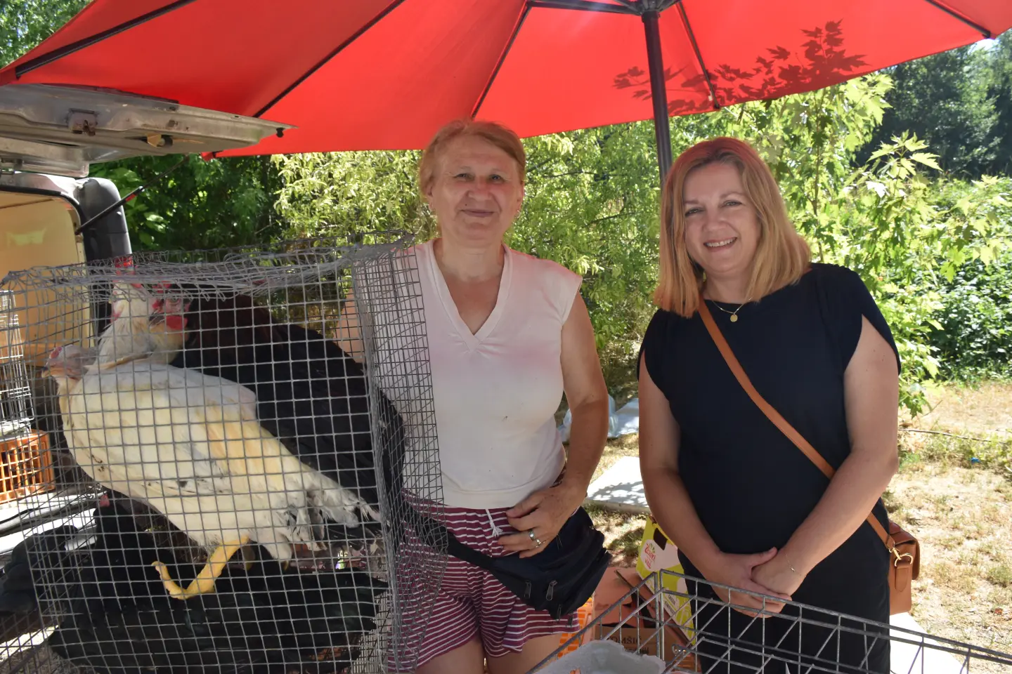 Lidija Miše Jalšovec, Prešetavanja i premišljavanja, 2.7.2025 (18)