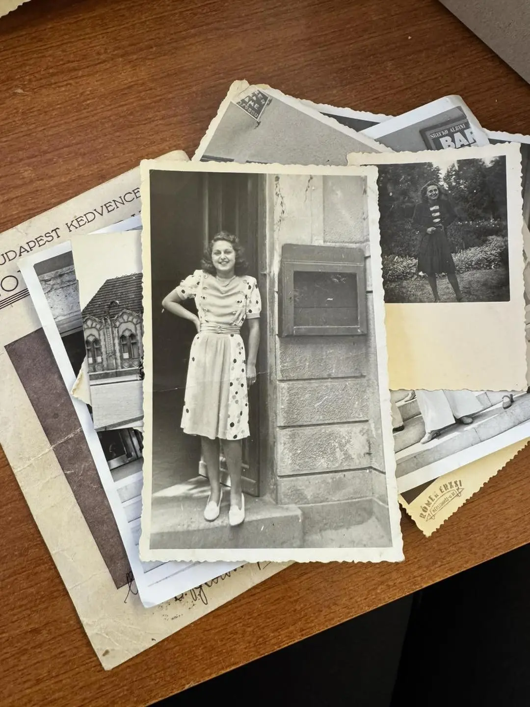 Lili Legenstein Centar izvrsnosti (1)