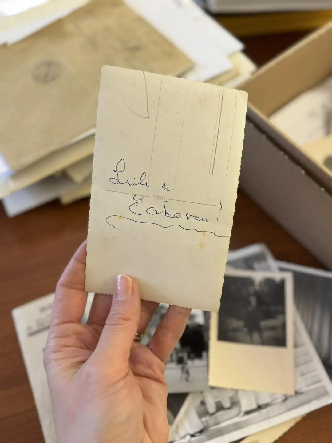 Lili Legenstein Centar izvrsnosti (6)