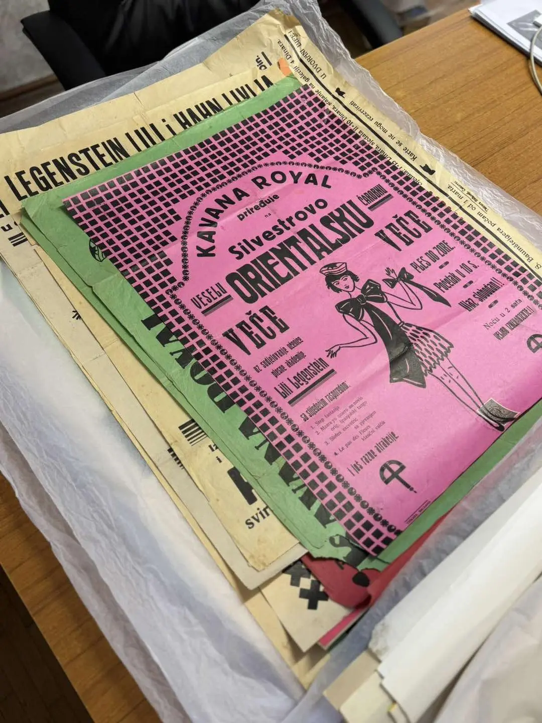 Lili Legenstein Centar izvrsnosti (8)