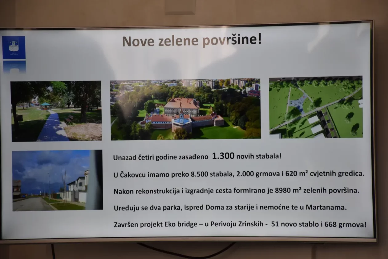 Ljerka Cividini, mandat (14)