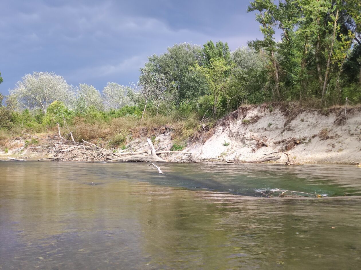 Ljetna avantura u Međimurju, Spust, Drava, Stara Drava (23)