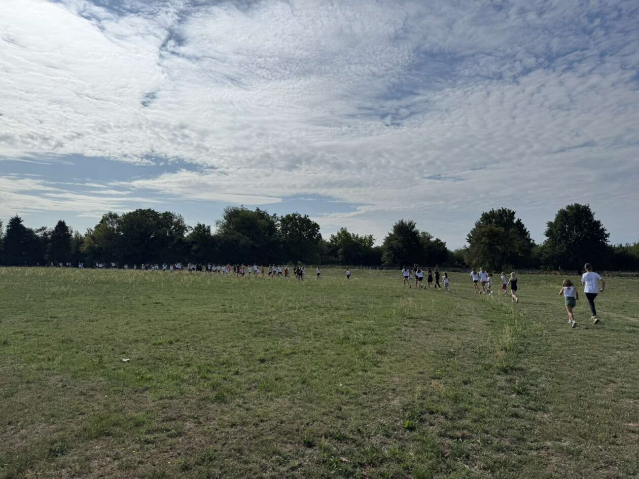 Ljetni kamp gimnastika (3)