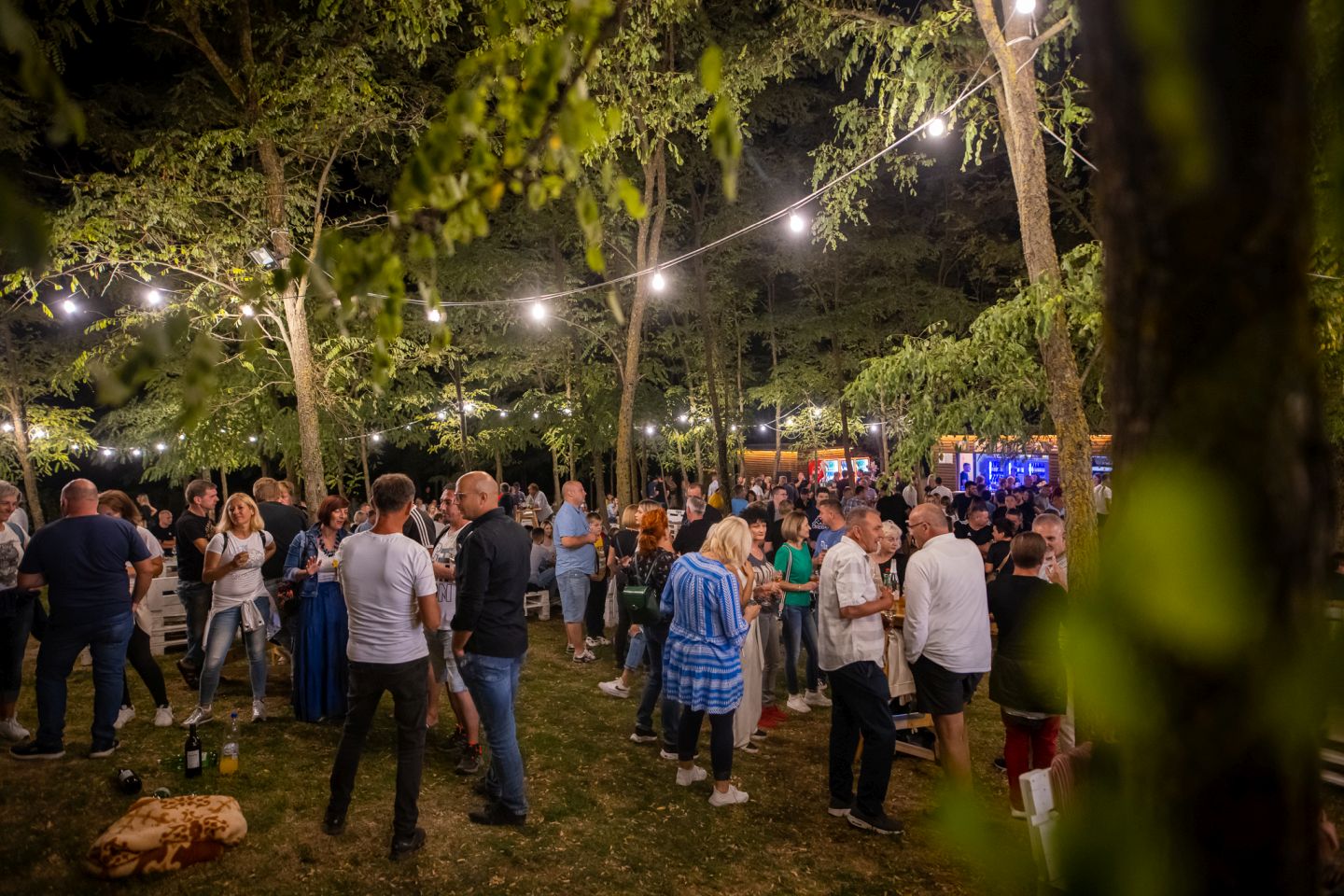 Ljeto u Štrigovi 2025 (6)