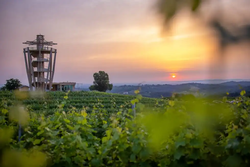 Ljeto u Štrigovi (4) Ljeto u Štrigovi (4)