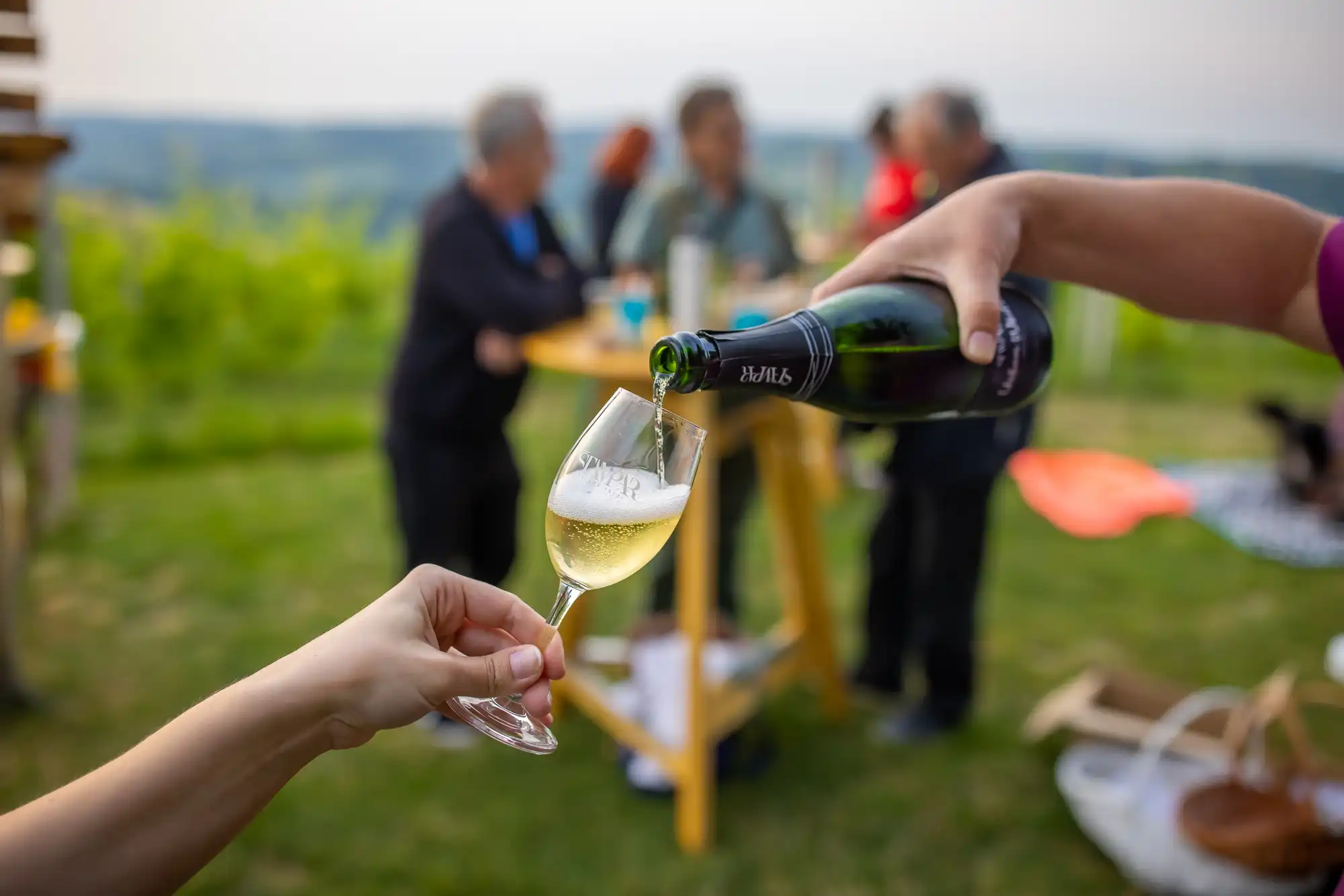 Ljeto u Štrigovi (6) Ljeto u Štrigovi (6)