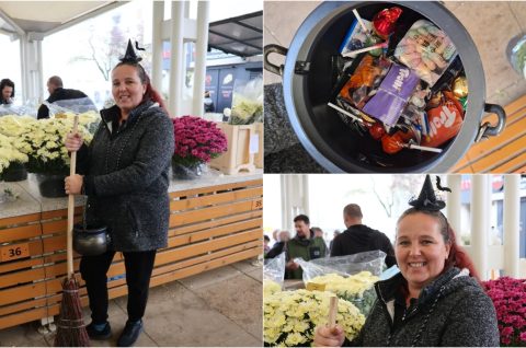 Ljiljana Božanić, Podbrest, naslovna