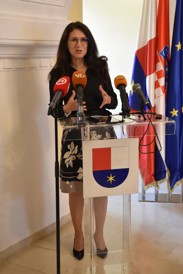 Lokalni izbori, predaja službenih rezultata (16)