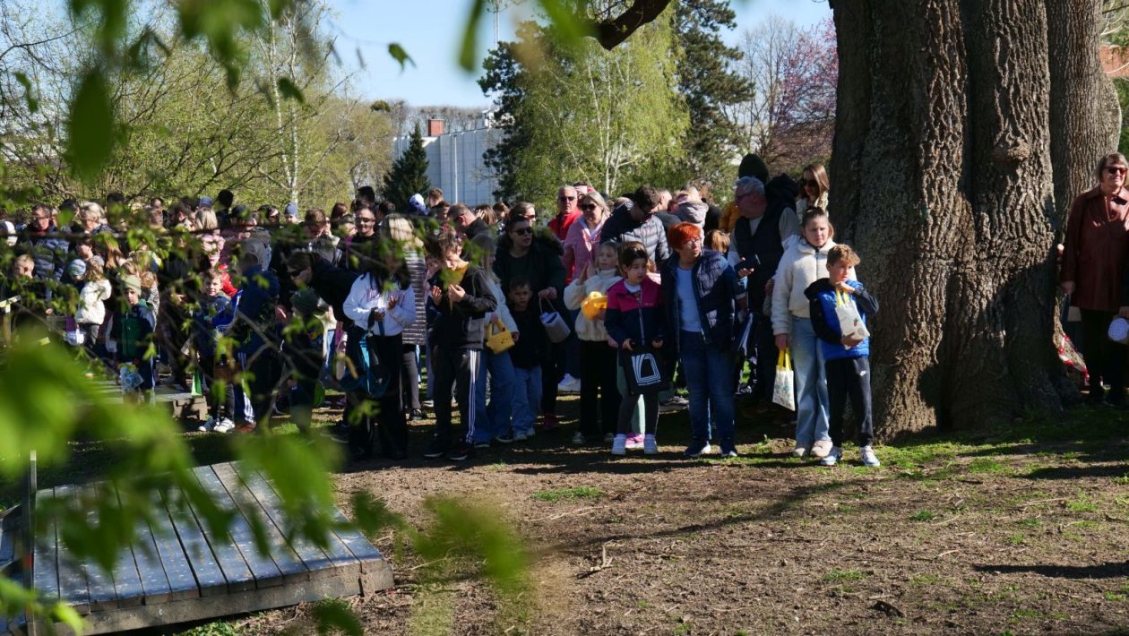 Lov na jaja Perivoj zrinski 2026 (14) Lov na jaja Perivoj zrinski 2026 (14)